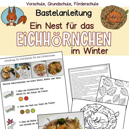 Bastelidee, Bastelprojekt DIY Kinder Vorschule Kindergarten Klasse 1, 2  Vorlage Nest Eichhörnchen Herbst Winter 