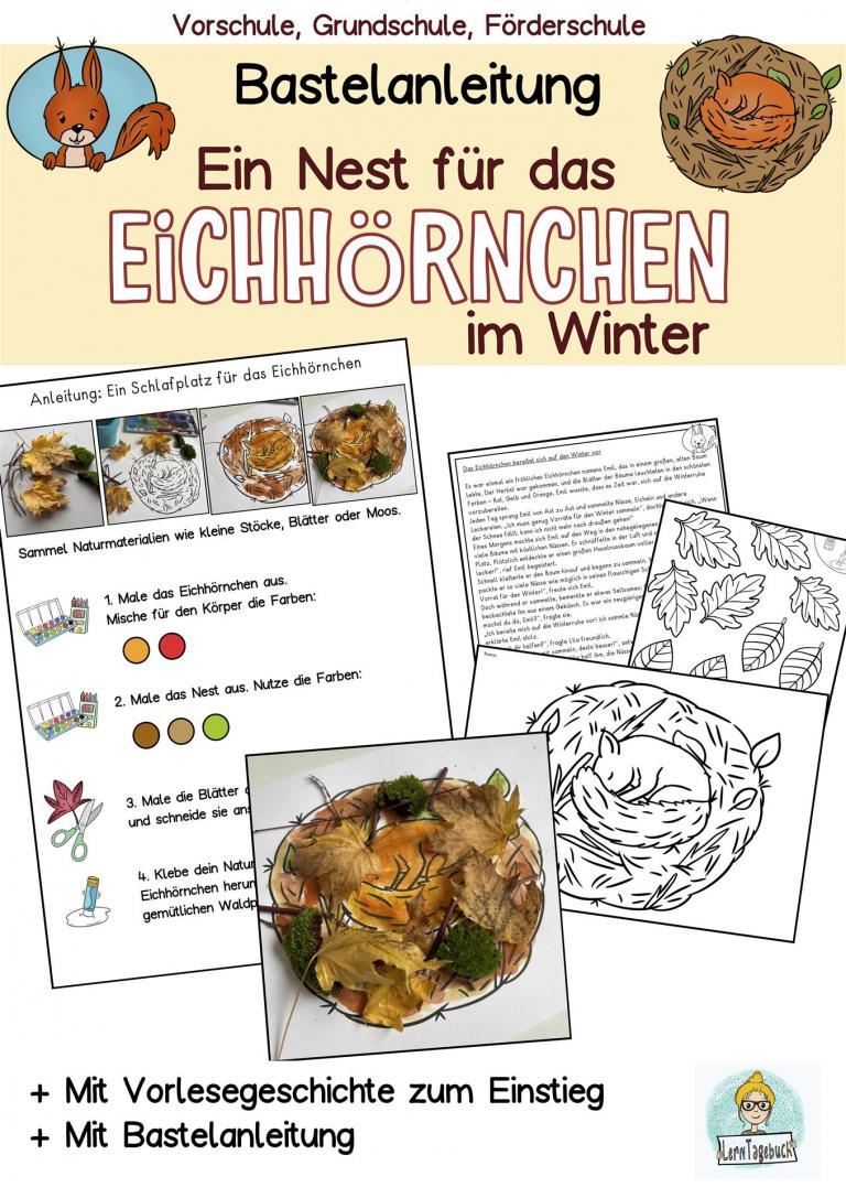 Bastelidee, Bastelprojekt DIY Kinder Vorschule Kindergarten Klasse 1, 2  Vorlage Nest Eichhörnchen Herbst Winter 