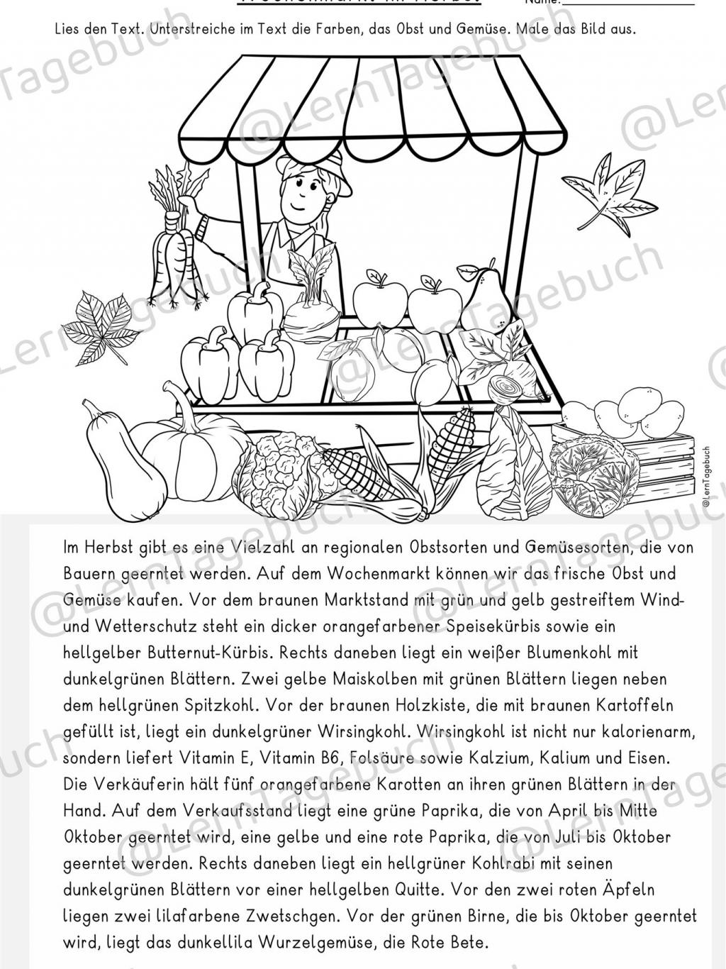 Lesen Leseverstehen Klasse 3, 4 Lesen und Malen Herbst Wochenmarkt Gemüse und Obst