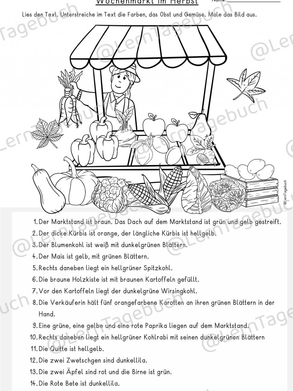 Leseübung Klasse 2, DaZ Lesen und Malen Herbst Wochenmarkt Gemüse und Obst