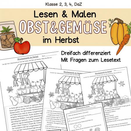 Leseübung Lesen verstehen und Malen Herbst Obst und Gemüse Deutsch Klasse 2, 3, 4, DaZ