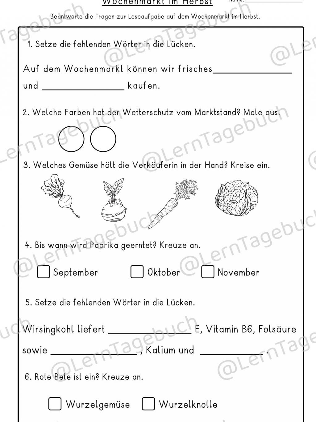 Leseverstehen Lesen Leseaufgabe Deutsch Klasse 2, 3, 4 , DaZ