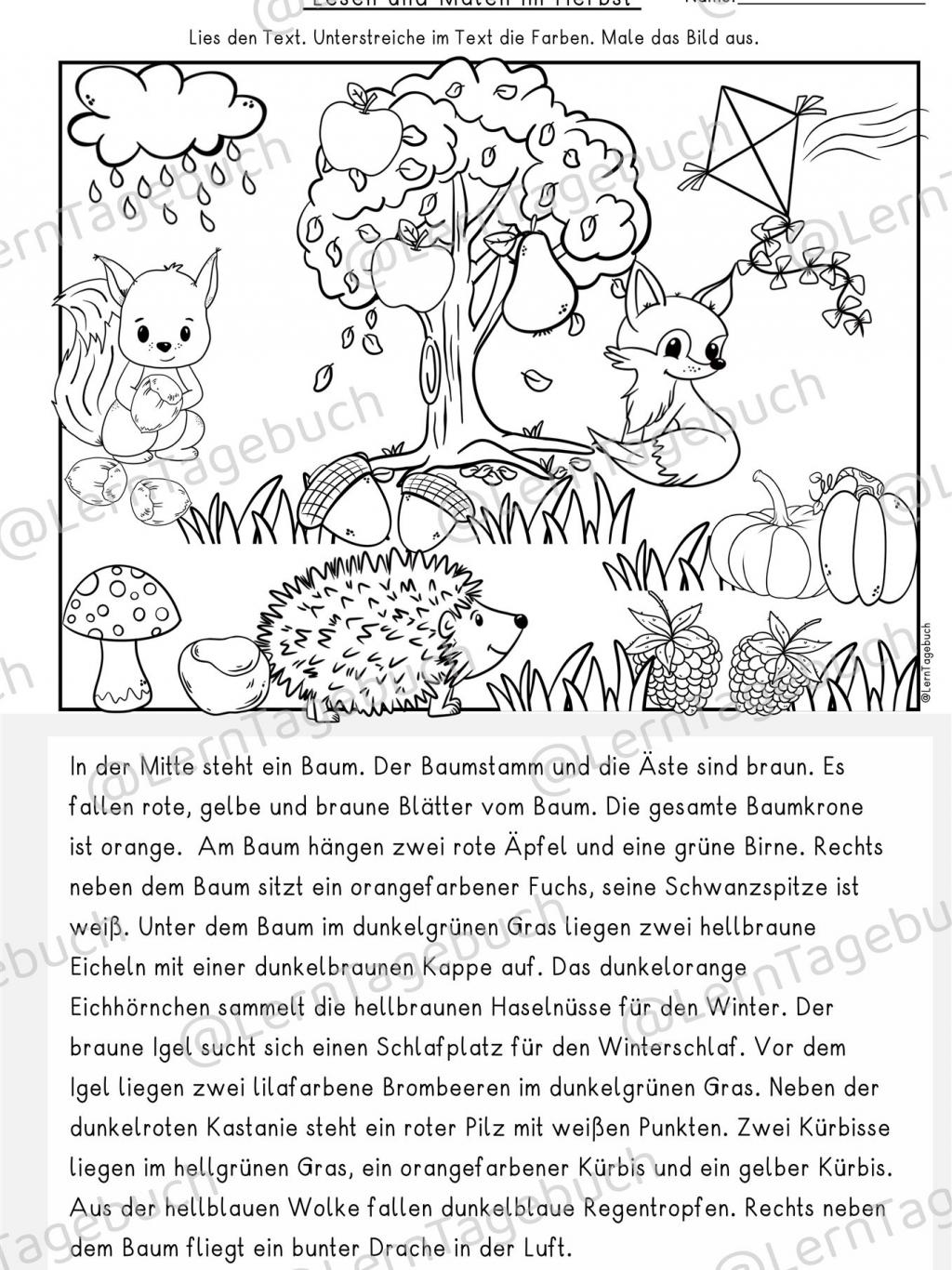 Text Lesen und Malen Herbst Leseverstehen Klasse 3, 4