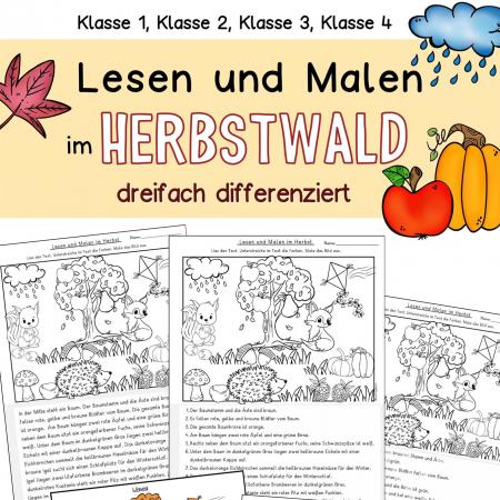 Lesen, verstehen und Malen Leseuebung Deutsch klasse 1,2, 3, 4 DaZ leseaufgabe Herbst