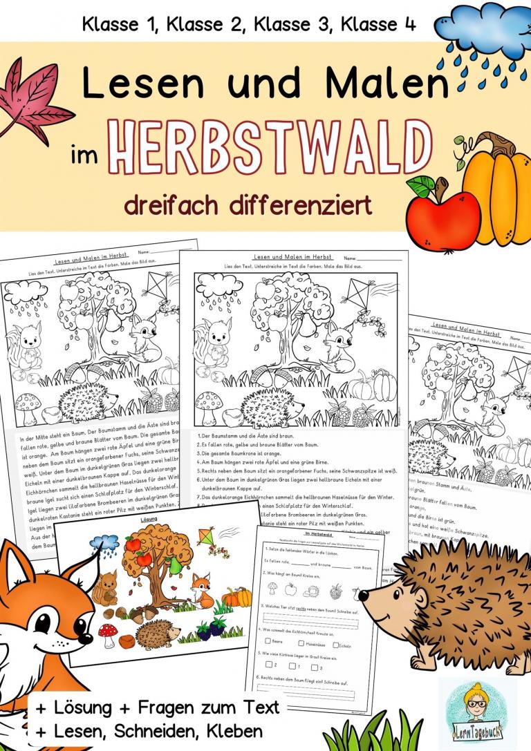 Lesen, verstehen und Malen Leseuebung Deutsch klasse 1,2, 3, 4 DaZ leseaufgabe Herbst