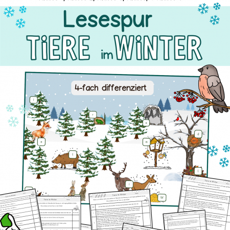 Lesespur, Lesetext Tiere im Winter, Leseaufgabe, Lesen Klasse 1, 2, 3, 4, 5 Sachunterricht, Naturwissenschaften