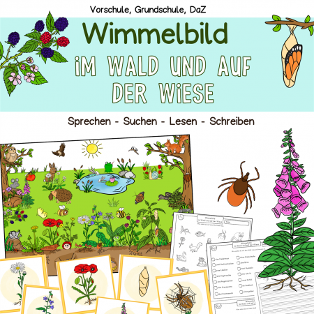 Wimmelbild Suchbild Wiese, Wald Tieren und Pflanzen Sachunterricht