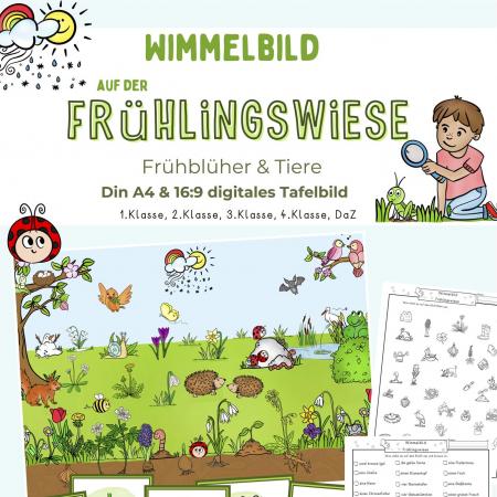 Wimmelbild, Suchbild Frühling, Tiere, Frühlüher, Wiese